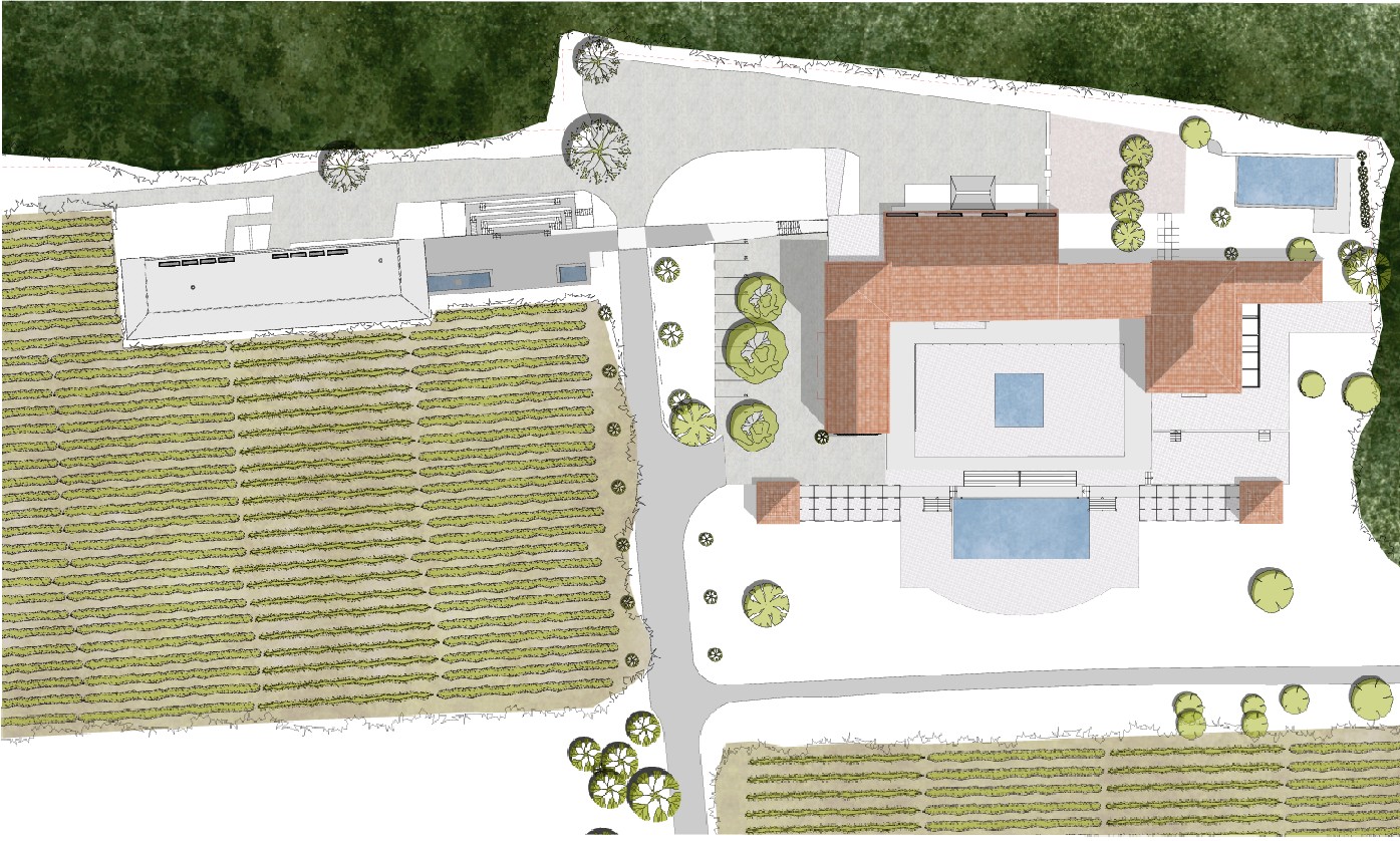 Plan masse